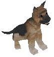 File:Duke.jpg