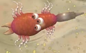 Snorf, a very fast predator cell