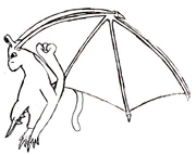 A flying tucked Swiftick