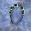Chomper, karşılaştığınız ilk yırtıcı hücre