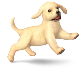 Image:NintendogAssist.jpg