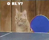 Orly