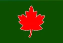 Vlag