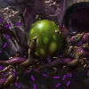 File:Egg SC2 DevGame2.jpg