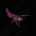 File:Defiler SC1 Game1.gif