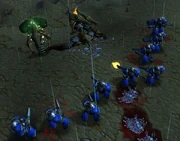 Hydralisks attacking marines in Warcraft III