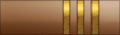 Uniform sleeve insignia.