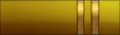 Sleeve insignia.