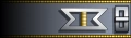 Uniform shoulder insignia.