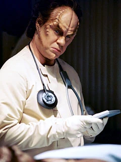 IMage:Phlox.jpg
