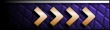 rank insignia.