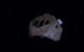 Toron shuttle image.