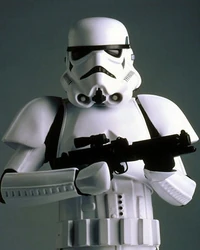An Imperial stormtrooper.