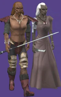 A male and female Sayormi.