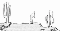 Three giant cacti.