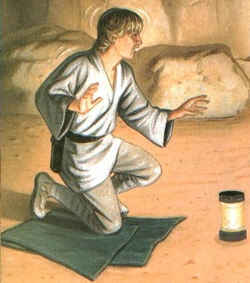 Luke Skywalker kneeling on a blanket.