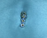 Although her clothing was practical, Aayla was not devoid of ornamentation as this ornate belly button jewelry illustrated.