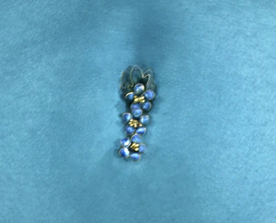 Aayla Secura's bellybutton; It's blue.