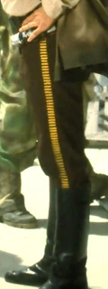 Han Solo's pants, displaying his second-class Bloodstripes.