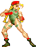 Super Street Fighter II