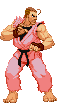 Capcom vs. SNK