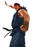Evil Ryu