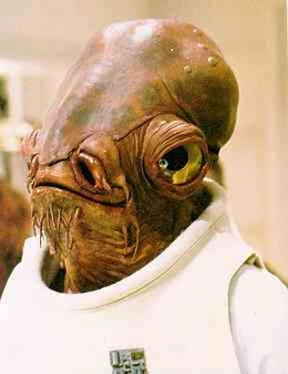Mon Calamari