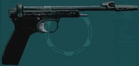 Issued Pistol