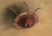 images3.wikia.nocookie.net