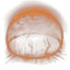 Base Wave