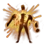 Self Destruct
