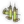 Advanced Med Pack