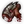 Collector's Head