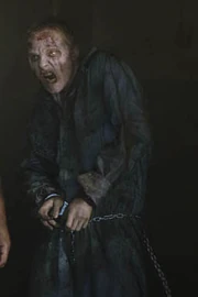 Caminante de la cadena.jpg