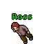 Image:Ross.gif