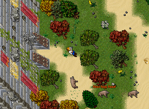http://images3.wikia.nocookie.net/tibia/en/images//6/68/Arena_and_Zoo_Quarter.jpg