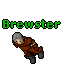 Image:Brewster.gif