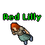 Image:Red Lilly.gif
