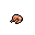 File:Shrimp.gif