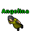 Image:Angelina.gif