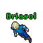 Image:Briasol.gif