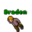 Image:Braden.gif