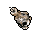 Image:Skull Candle.gif