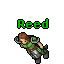 Image:Reed.gif