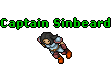 Image:Captain Sinbeard.gif