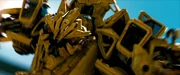 Bonecrusher, like most celebs, hates the paparazzi. He also hates closeups.