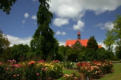 Botanical Gardens in Rotorua, New Zealand.