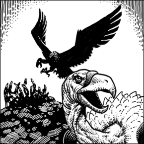 Image:Vultures.gif