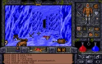The Ice Caves