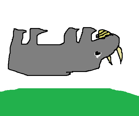 Rhino.png